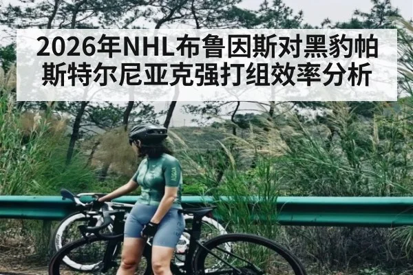 2026年NHL布鲁因斯对黑豹帕斯特尔尼亚克强打组效率分析 | ayx